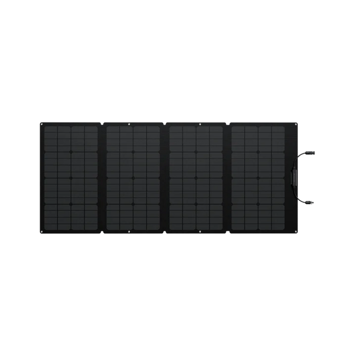 EcoFlow DELTA 2 Max + 160W Portable Solar Panel
