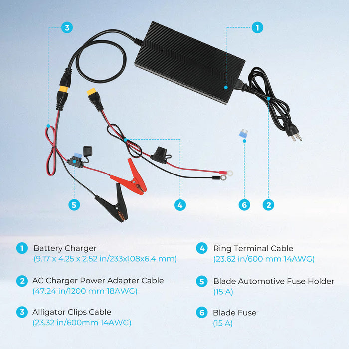 Renogy 24V 10A AC-to-DC LFP Portable Battery Charger