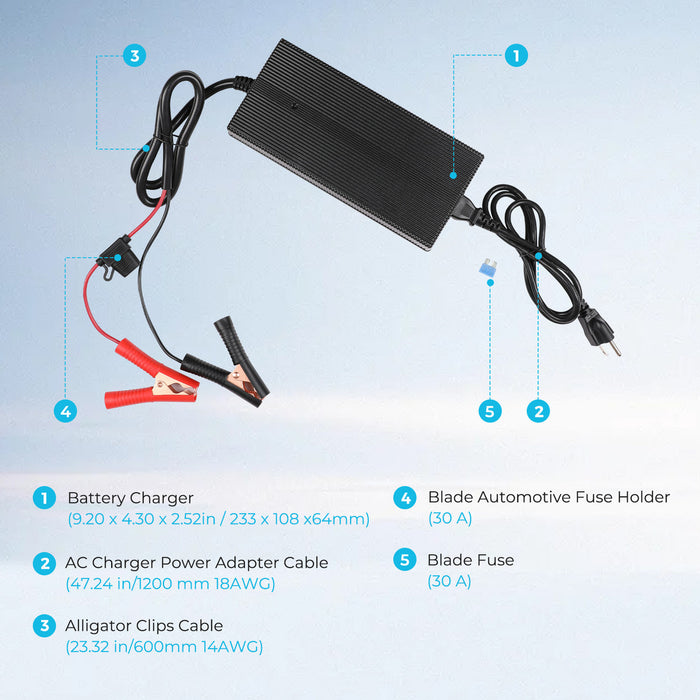 Renogy 12V 20A AC-to-DC LFP Portable Battery Charger