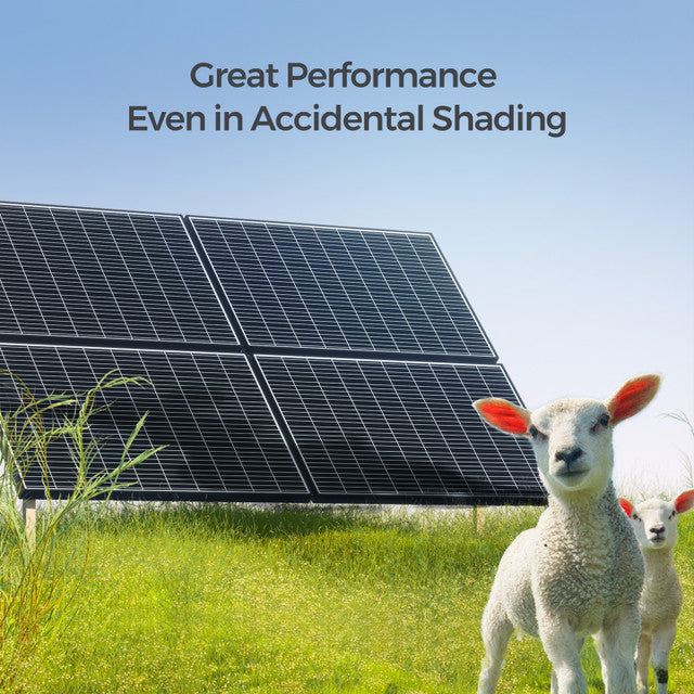 Renogy 320 Watt Monocrystalline Solar Panels