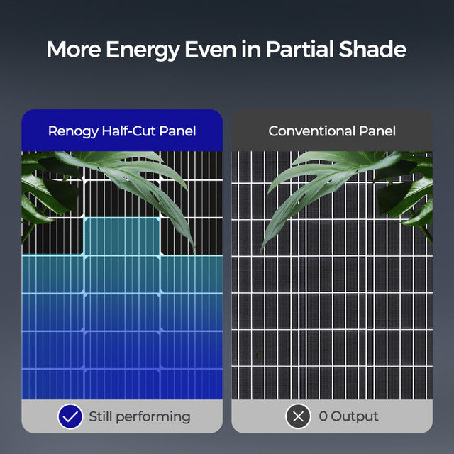 Renogy Bifacial 115 Watt 12 Volt Monocrystalline Solar Panel