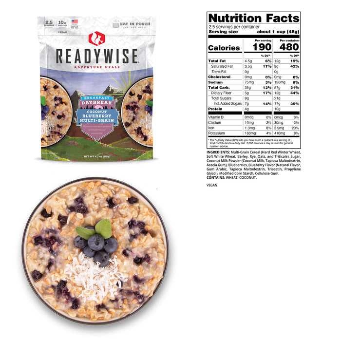 ReadyWise 6-Pack Case Daybreak Coconut Blueberry Multi-grain