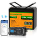 ECO - WORTHY 12V 100Ah LiFePO4 Battery With Bluetooth And Low - Temperature Protection - Off Grid Stores