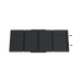EcoFlow DELTA 2 Max + 160W Portable Solar Panel - Off Grid Stores