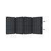 EcoFlow DELTA 2 Max + 160W Portable Solar Panel - Off Grid Stores
