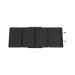EcoFlow RIVER 2 Pro Solar Generator + 160W Portable Solar Panel - Off Grid Stores