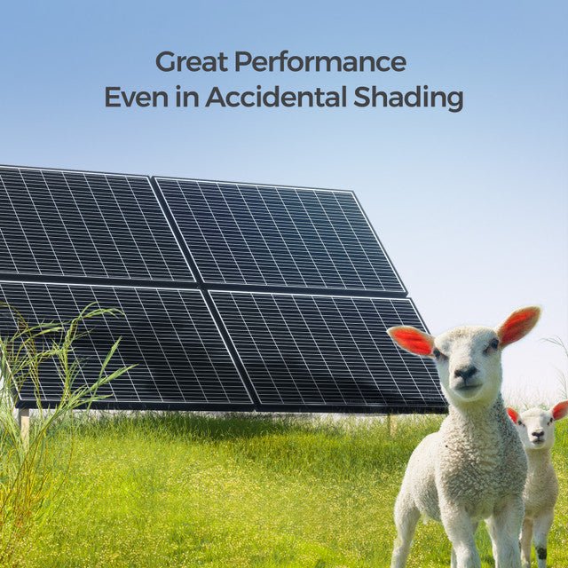 Renogy 320 Watt Monocrystalline Solar Panels - Off Grid Stores