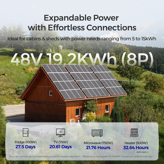 Renogy 48V 50Ah Smart Lithium Iron Phosphate Battery with Self - heating + Battery Monitor - Off Grid Stores