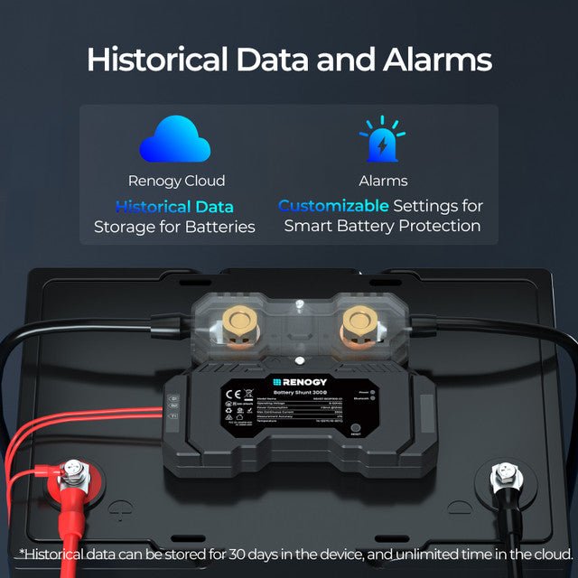 Renogy Battery Shunt 300 - Off Grid Stores