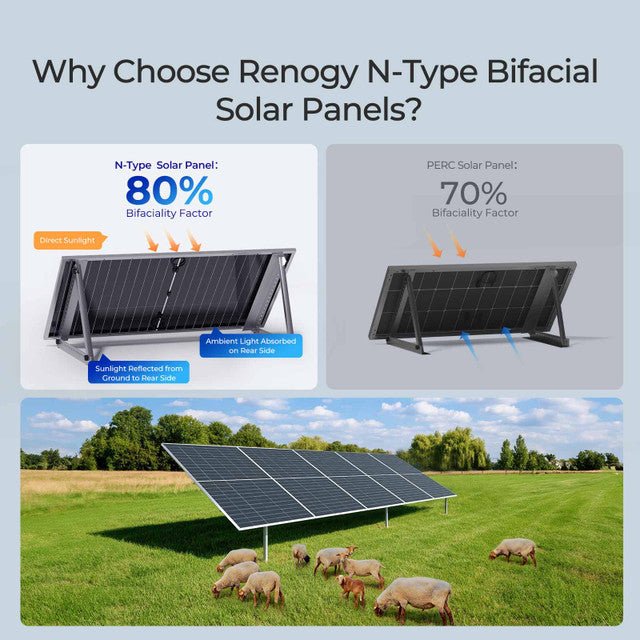 Renogy Bifacial 590 Watt N - Type Monocrystalline Solar Panel - Off Grid Stores