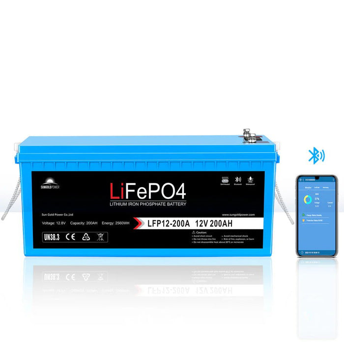SunGoldPower 3000W DC 12V Pure Sine Wave Inverter With Charger - Off Grid Stores