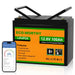 ECO-WORTHY 12V 100Ah Lithium Iron Phosphate Battery With Bluetooth And Low-Temperature Protection - Off Grid Stores